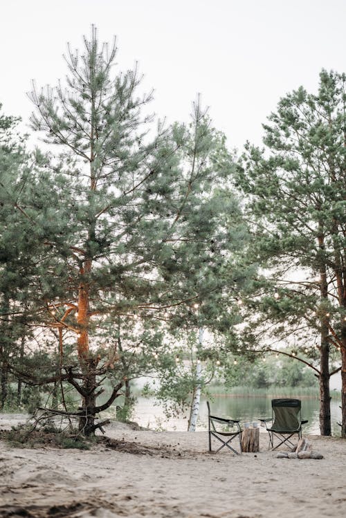 View of a Trees and Camping Chairs