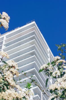 一座现代化白色建筑从低角度看去，周围树木繁花盛开，映衬着鲜艳的蓝天