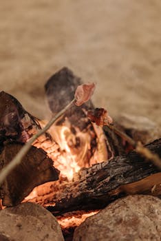Skewered beef cooking on a campfire with crackling flames and smoke, capturing rustic outdoor culinary experience.