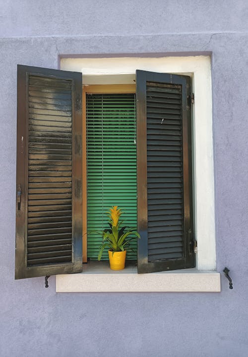 Window with Shutters