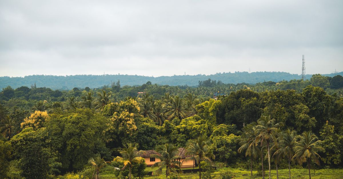 Telangana Forest Cover Boost: Hyderabad Outskirts See Greening Efforts Amidst Urban Expansion