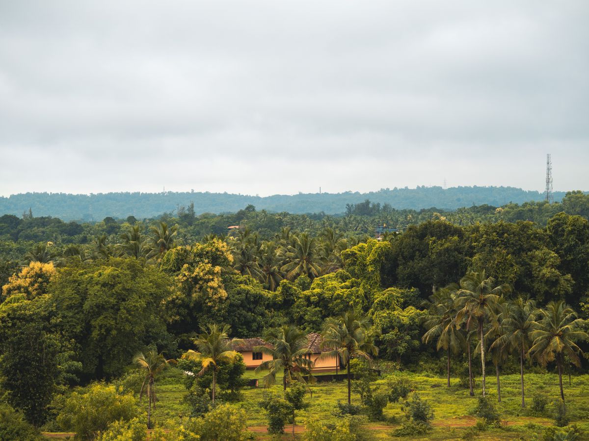 14 Day Healing & Therapeutic Yoga + Ayurveda Retreat in India 1