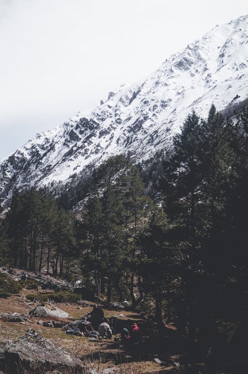 Snow in Mountains