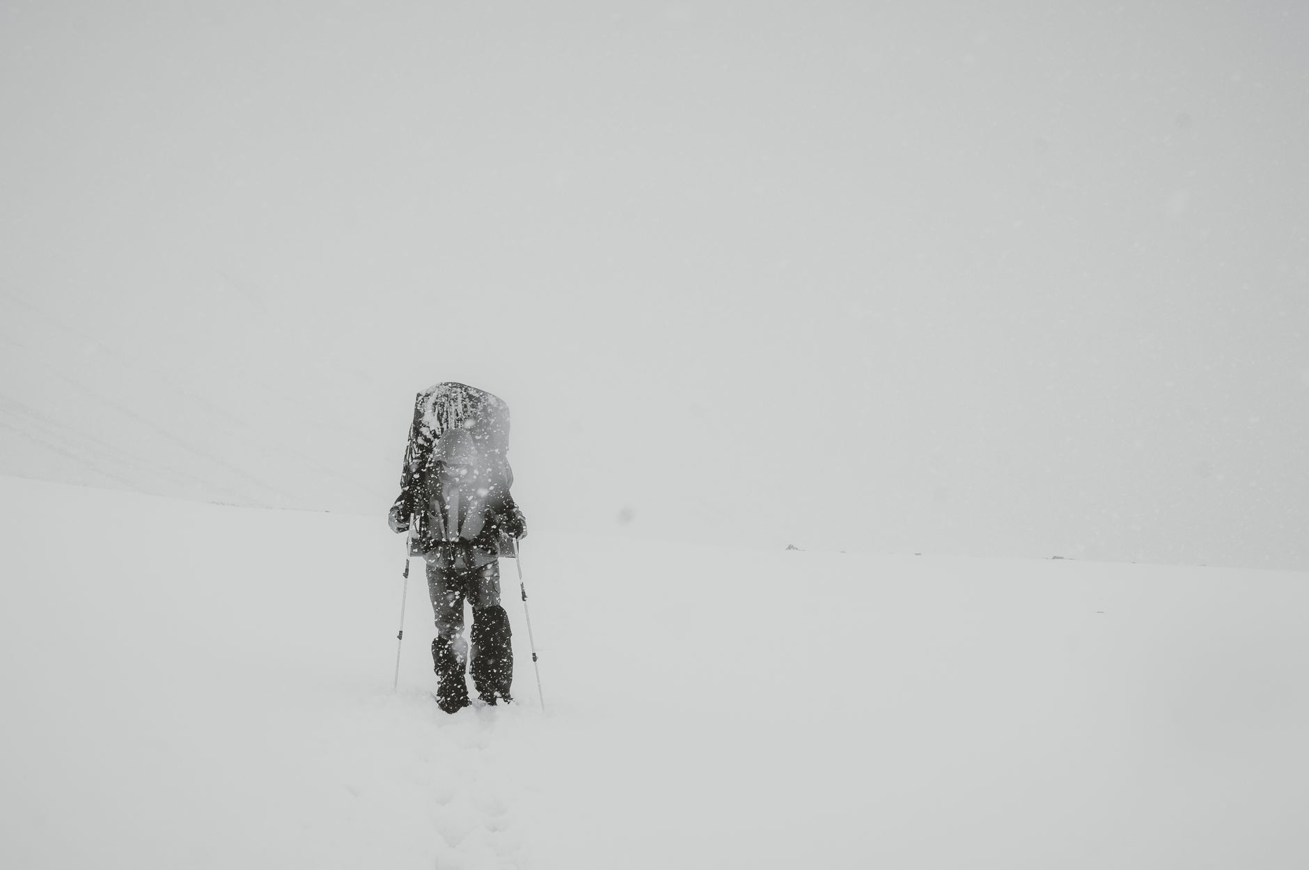 Whiteout Survival: What to Actually Do in Your First Hour