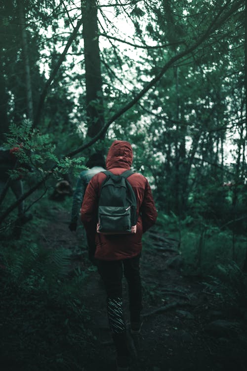 Man in Red Hoodie Standing in the Middle of Forest