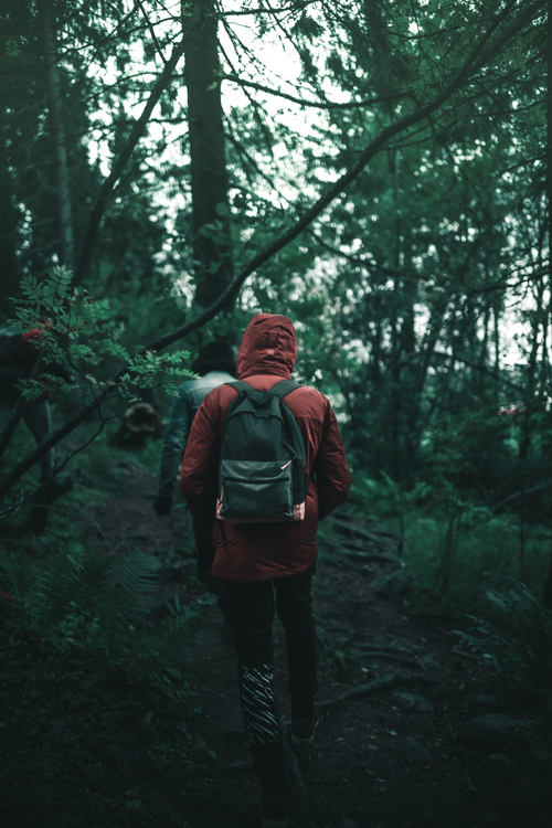 Free Man in red hoodie hiking along a forest trail, exploring nature. Stock Photo