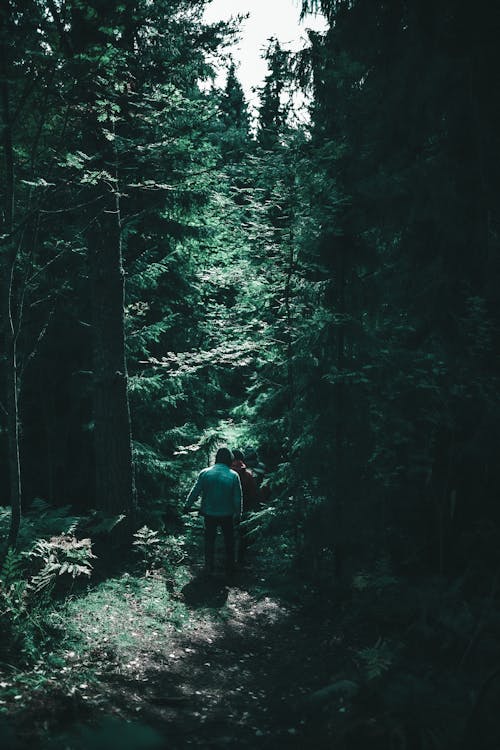 Men on Path in Forest