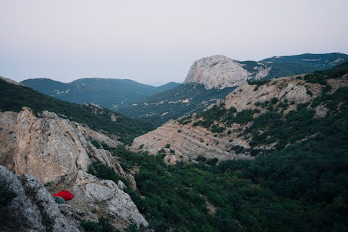 Foto profissional grátis de árvores, cenário, floresta