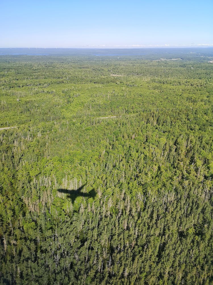 Shadow Of Airplane