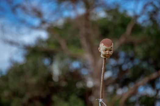 Close-Up Shot of a Stick with a Head of a Doll