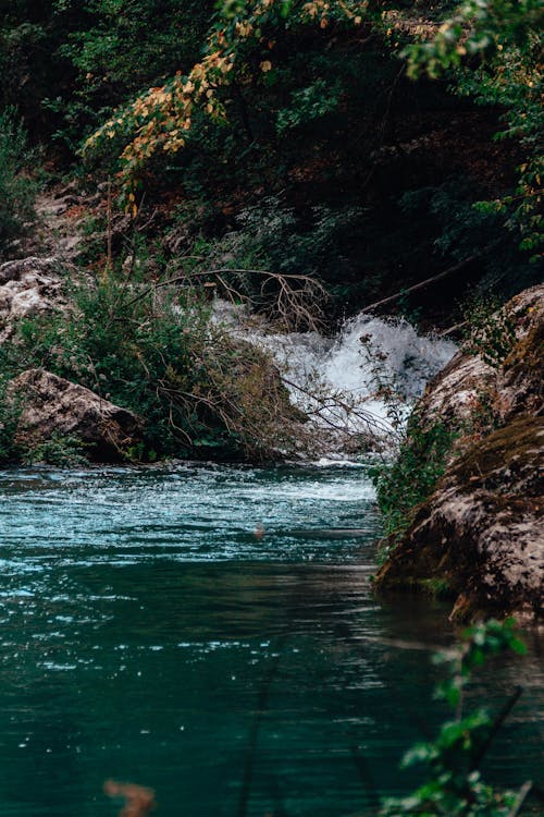 Foto d'estoc gratuïta de cascada, en cascada, fluint