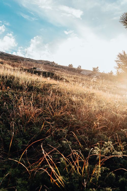 Free A picturesque landscape featuring a sunlit grassy field under a bright blue sky. Stock Photo