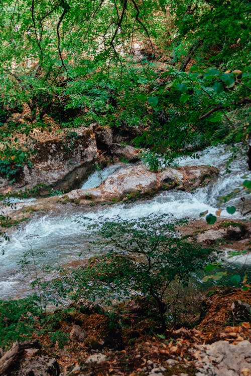 Δωρεάν στοκ φωτογραφιών με βράχια, βραχώδης, κατακόρυφη λήψη