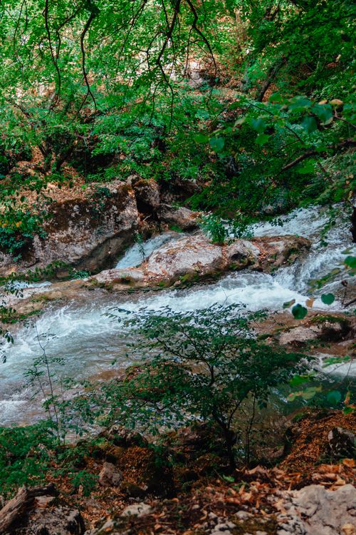 Free Rich green forest scene with a stream cascading over rocks, showcasing nature's tranquility. Stock Photo