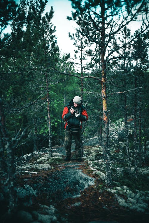 Backpacker on Trail through Forest