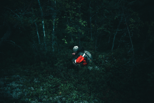 Free Person crouching in a dense forest, exploring the underbrush at dusk. Stock Photo