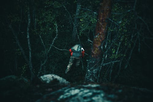 Man Hiking in Forest