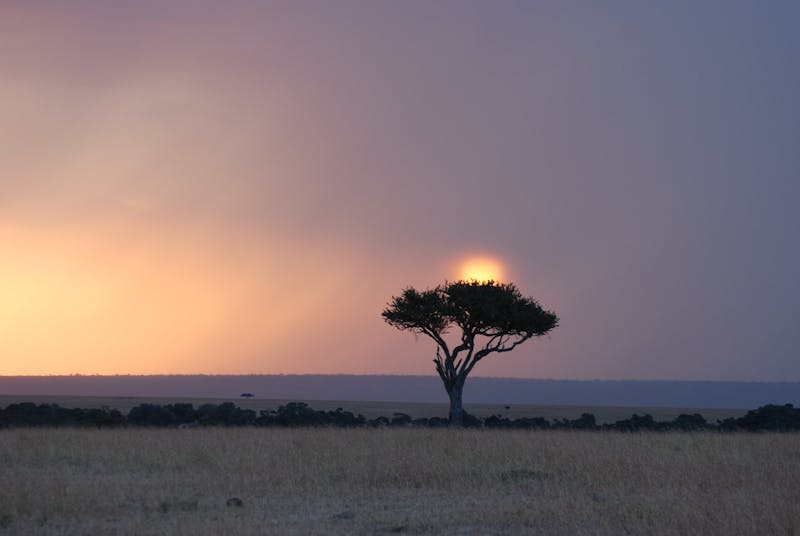 Deri Ceket - Görsel 2