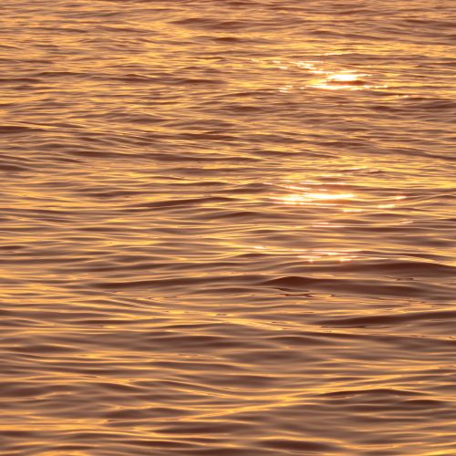 Free Capture of sunlight reflecting off gentle waves at sunset on a serene water surface. Stock Photo