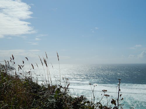 Darmowe zdjęcie z galerii z błękitne niebo, horyzont, morze