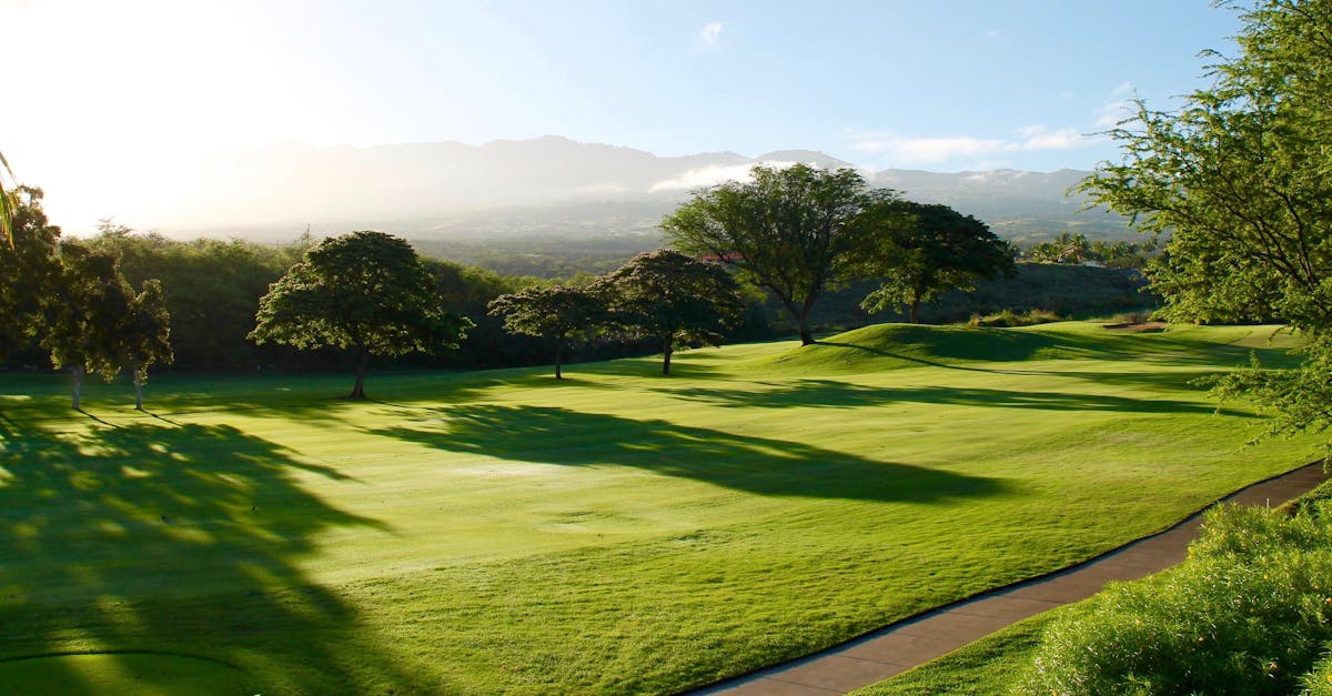 澳洲選手火力全開 奪得LPGA國際冠軍榮耀