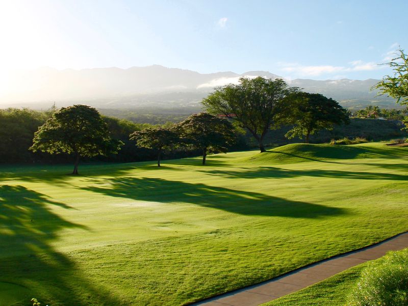 Green golf course fairway surrounded by mountain forest