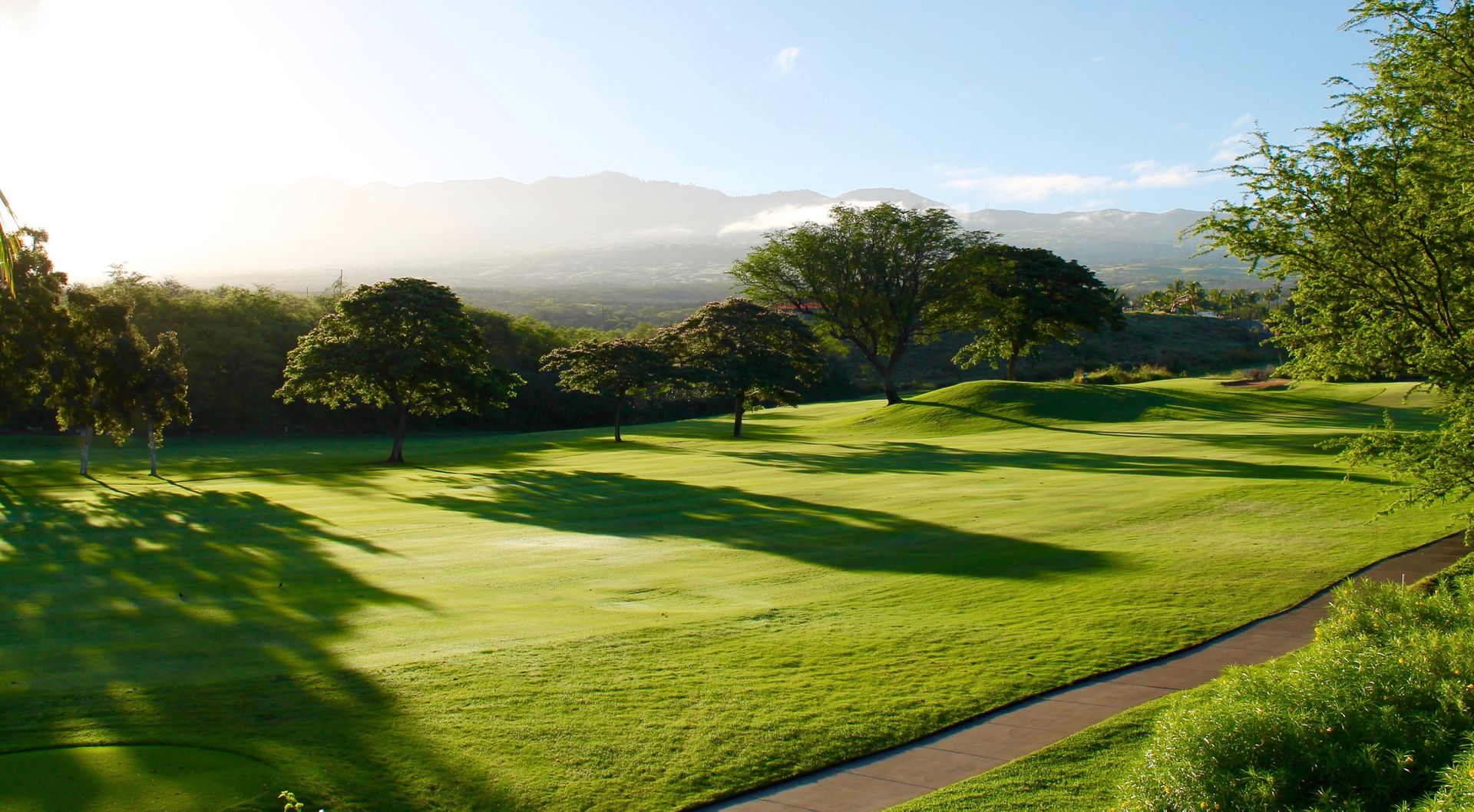 Rolling golf course at golden hour with long tree shadows across the fairways