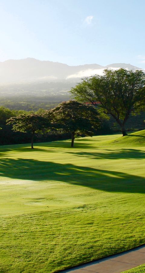 VidantaWorld Mexico Open R3: Smotherman clings to lead as Pereda charges into Sunday duel