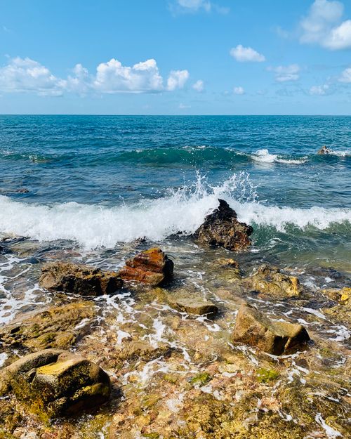 Crashing Ocean Waves on the Sea Shore under the Cloudy Sky · Free Stock ...