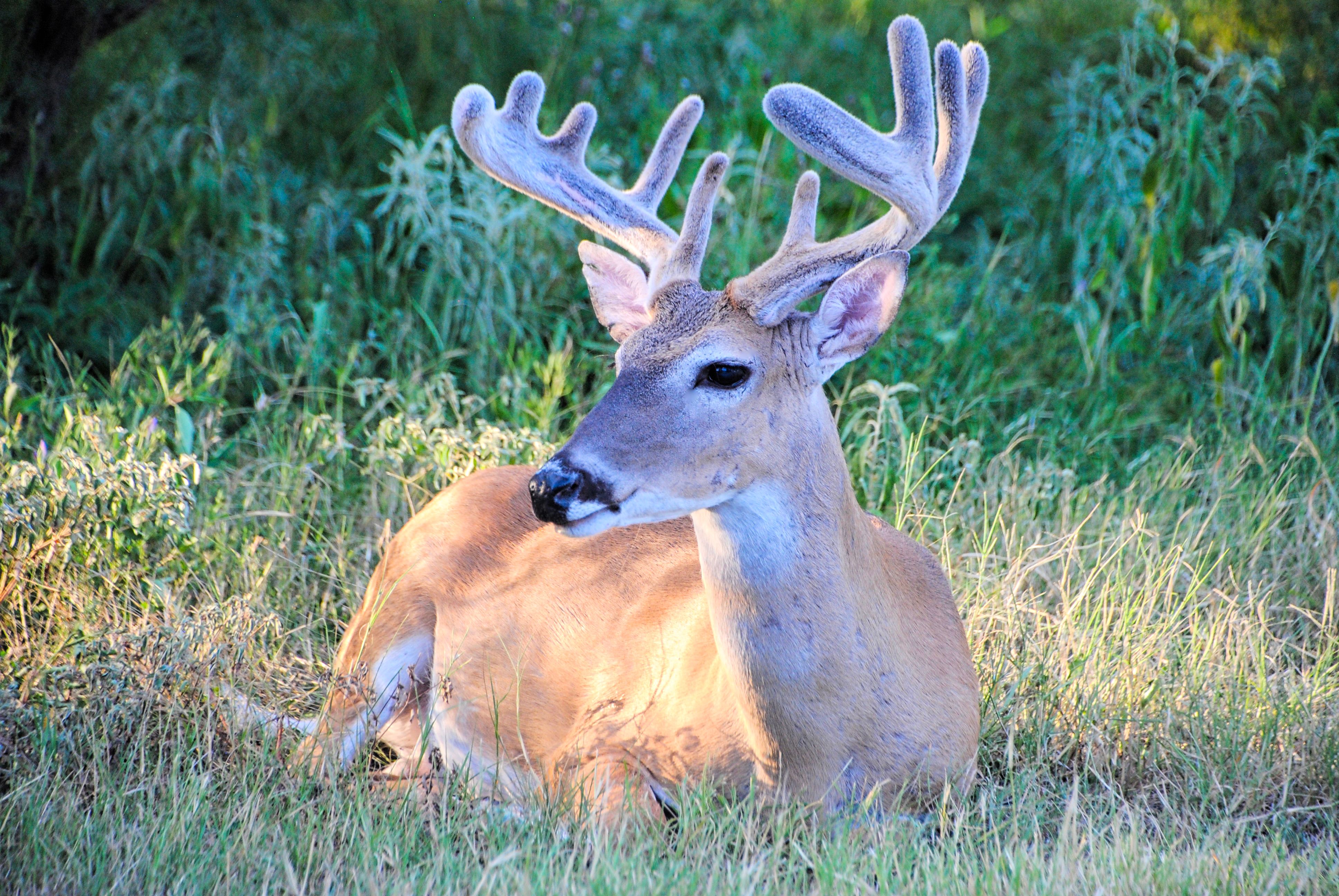 The weather can change the hunt quickly