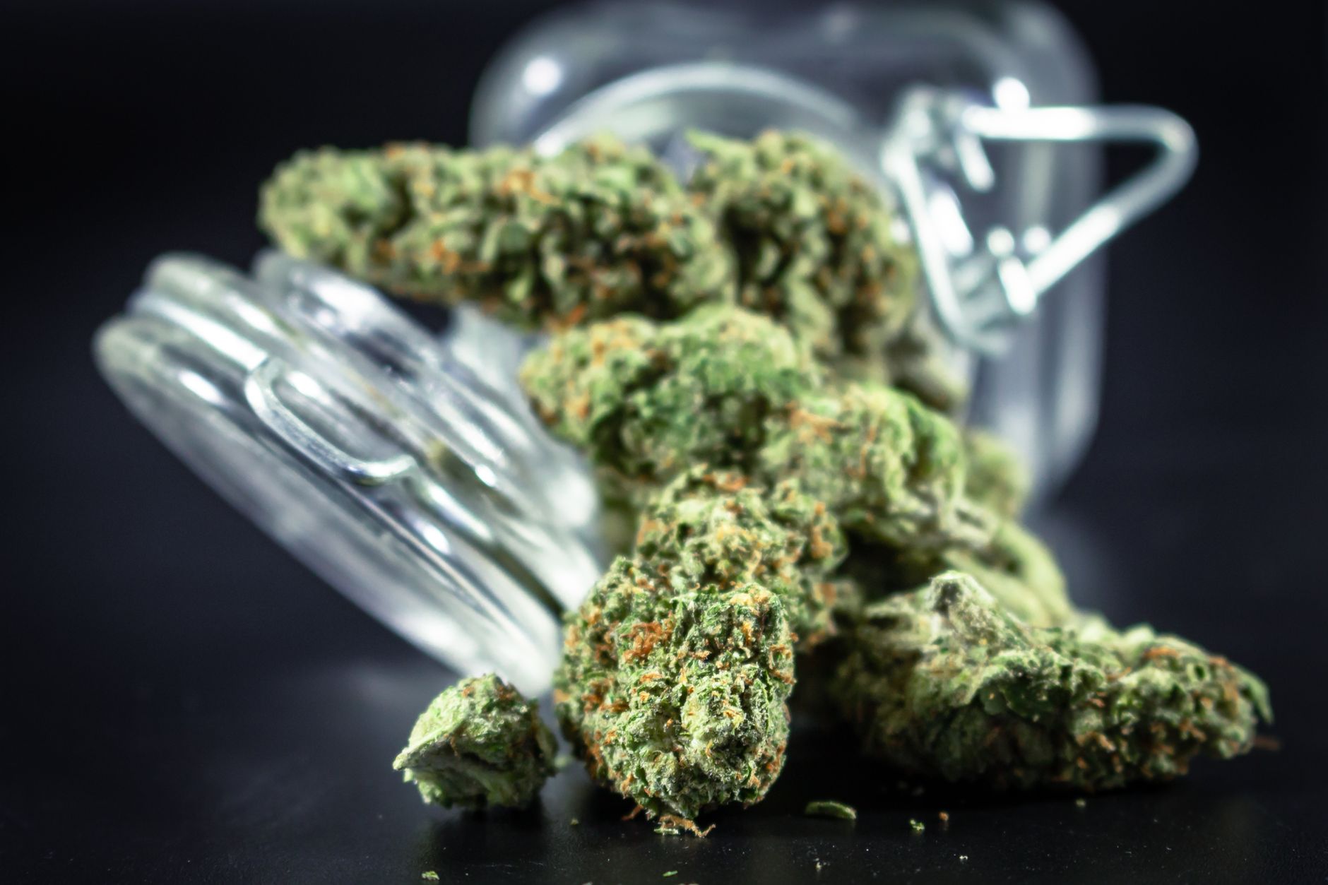 From Regulation To Application Unraveling Clinical Trials In Medical Marijuana
