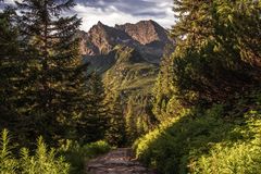Discover a serene cobblestone path amidst lush green forest leading to majestic mountains under a vibrant sky in Zakopane.