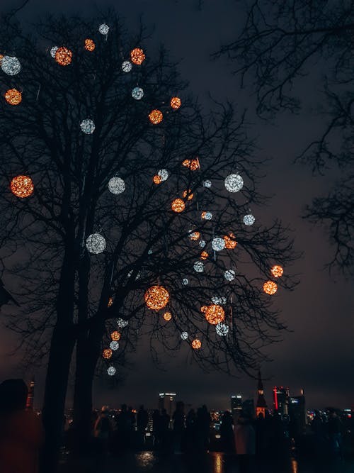 Immagine gratuita di albero, città, decorazioni