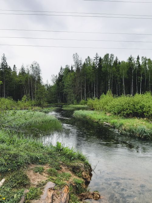 Free A peaceful river winds through lush greenery in a rural setting, under a cloudy sky. Stock Photo
