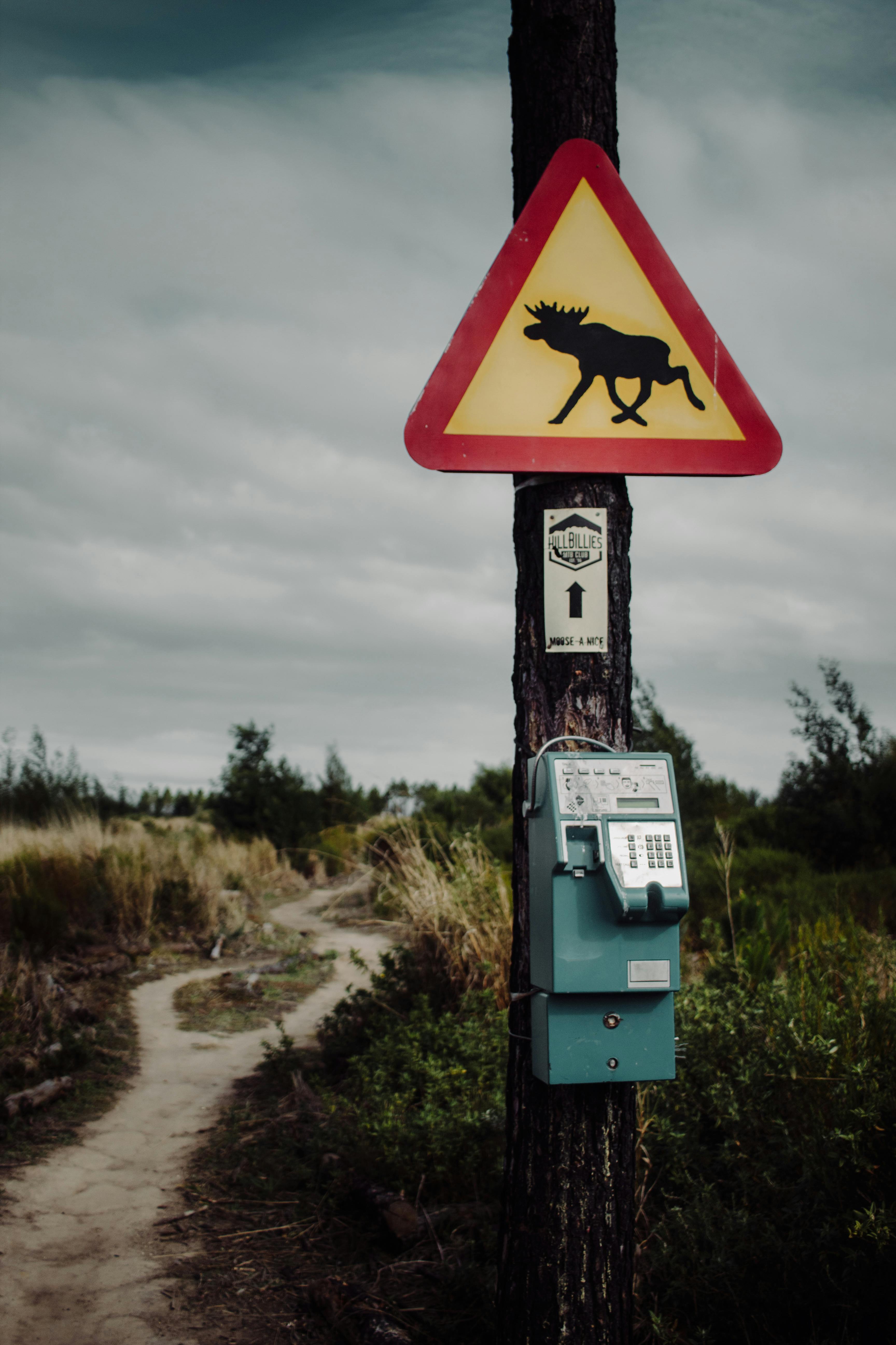 Signaling: A Critical Safety Measure for Driver Communication