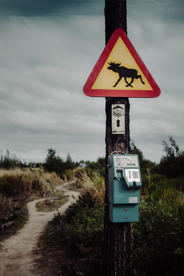 A Broken Telephone Hanging On A Post