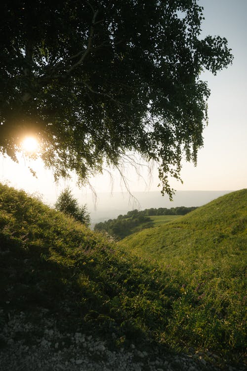 Scenic View of a Mountain