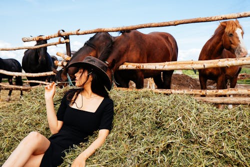 Foto profissional grátis de agricultura, animais, área