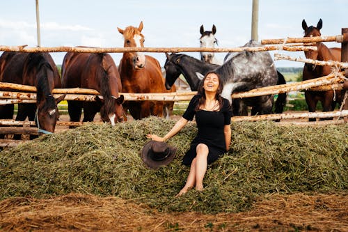 Безкоштовне стокове фото на тему «жінка, коні, поле» стокове фото