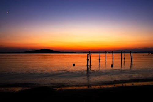 Gratis stockfoto met dageraad, houten stammen, omtrek