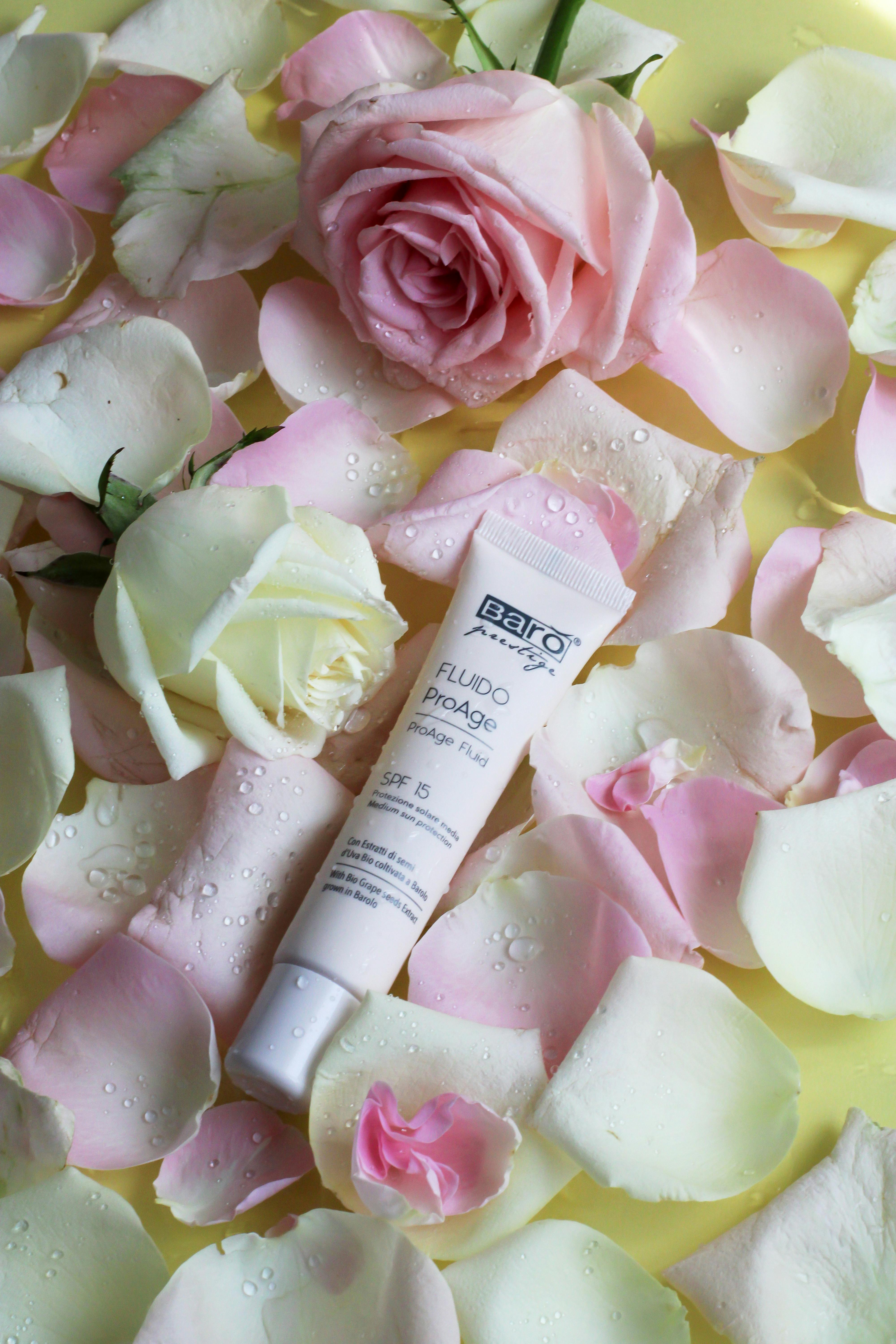 Why Do Dogs Have Wet Noses? Discover the Fascinating Truth! 9 How to Care for Your Dog’s Nose: Tips for Keeping It Healthy and Hydrated