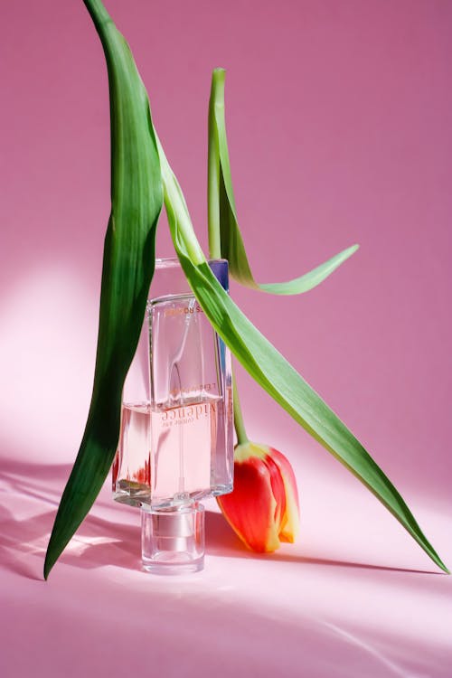 Free Red Tulips in Clear Glass Perfume Stock Photo