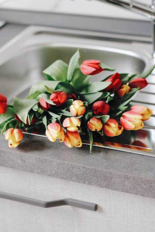 Kostnadsfri bild av diskbänk, färgrik, färska blommor