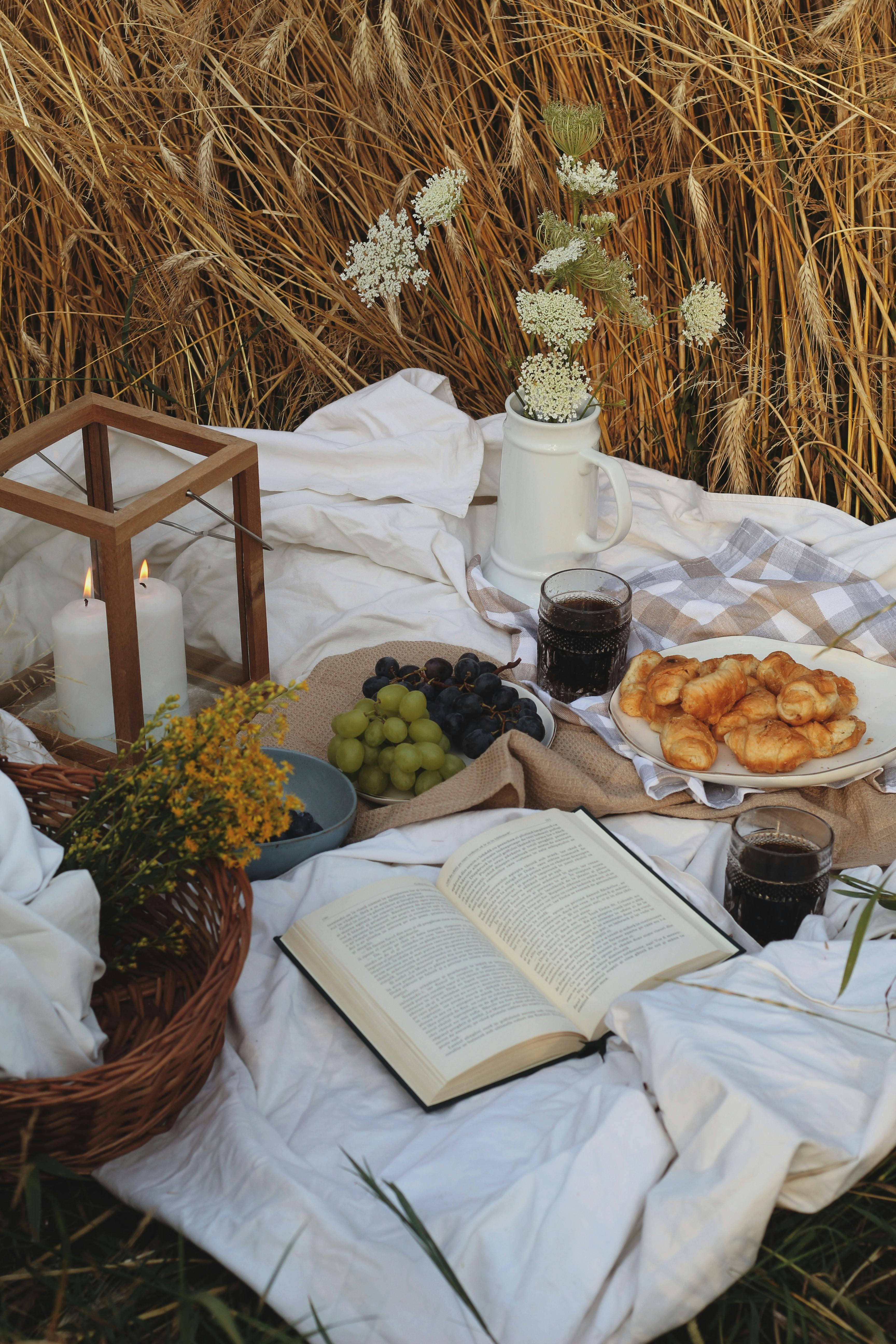 White Picnic Blanket On Grass · Free Stock Photo