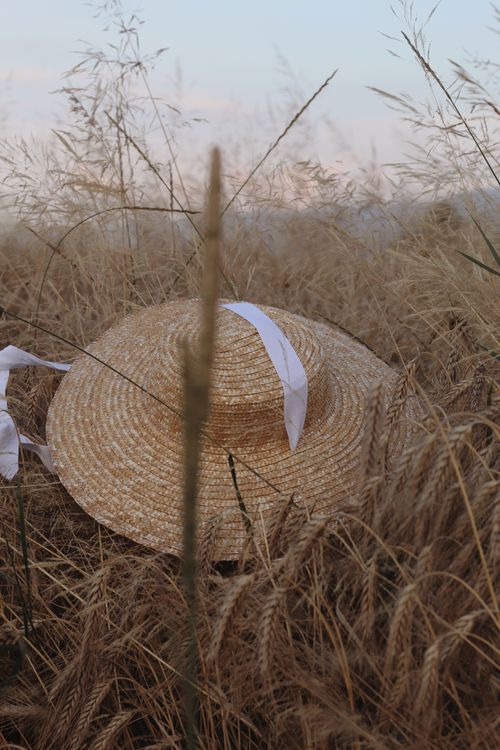 Free A straw hat sits serenely in a golden wheat field at sunset, capturing the essence of summer. Stock Photo