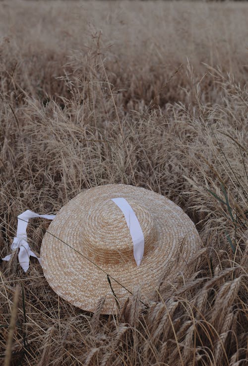 Brown Sun Hat on Wheat Field