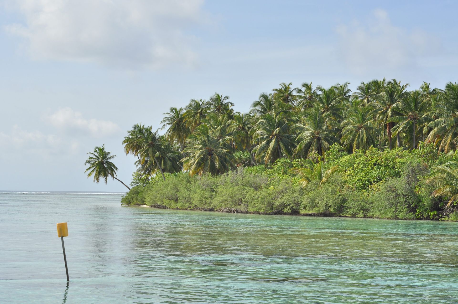 Discover the serene beauty of a tropical island with lush greenery and palm trees in the Maldives.