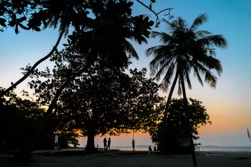 Free A serene tropical beach at sunset with silhouetted palm trees and people. Stock Photo