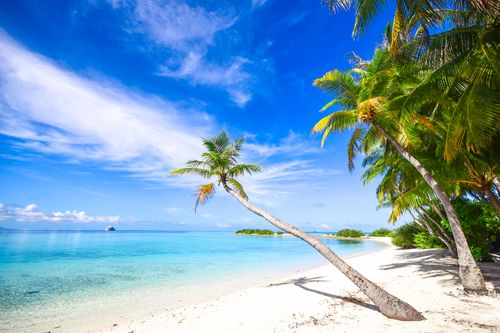 Free Idyllic tropical beach with palm trees and clear blue sky, perfect for travel and relaxation. Stock Photo