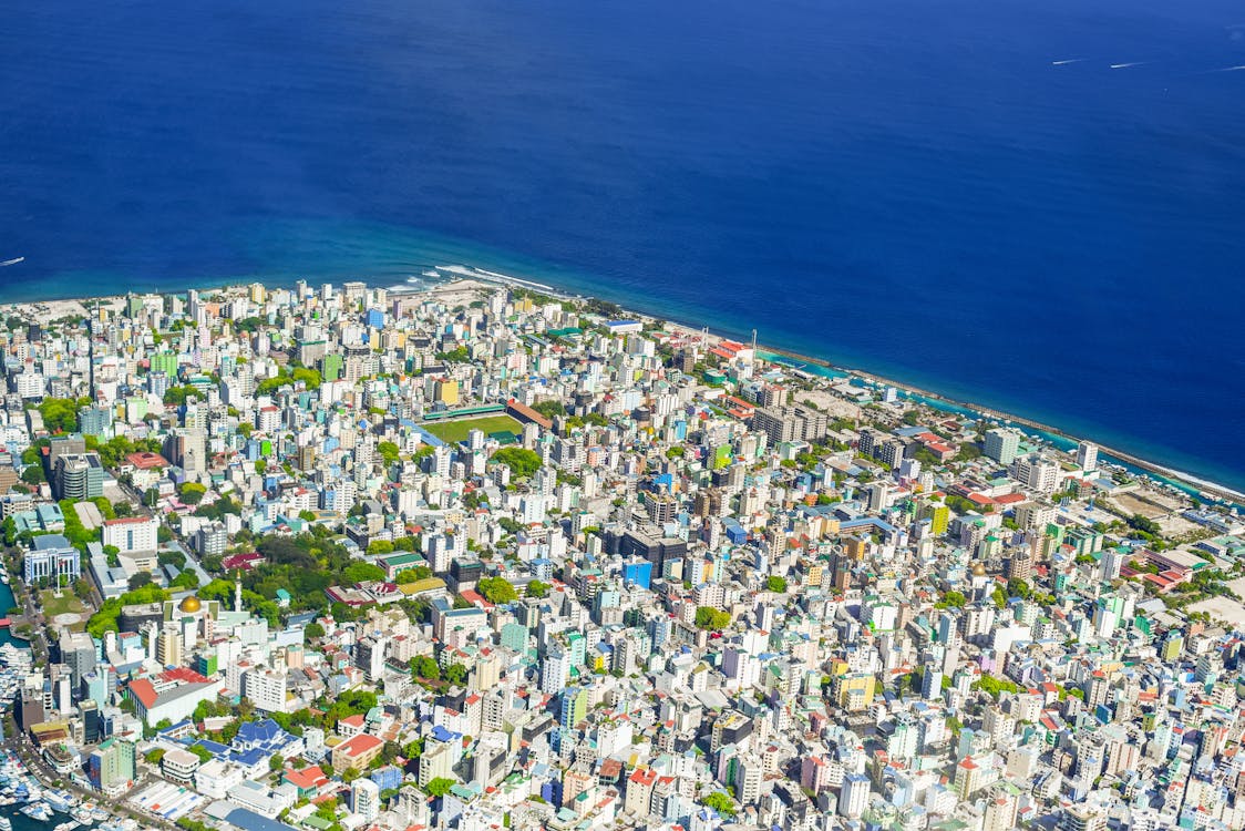 Free White and Green Houses Near Blue Sea Stock Photo